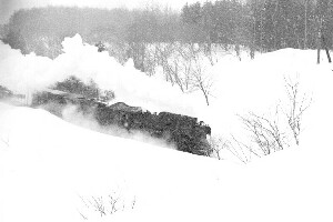 ノーブルジョーカーのホームページ（羽幌線）